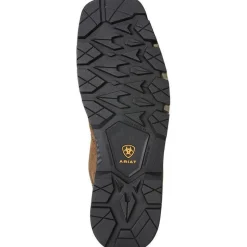 Ariat Men's Rebar Flex 10