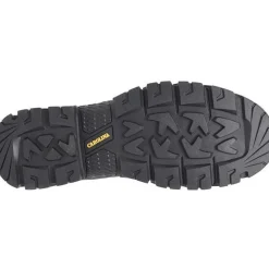 Carolina Men's Gruntz 6