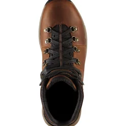 Danner Men's Mountain 600 4.5