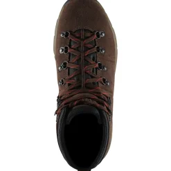 Danner Men's Mountain 600 4.5