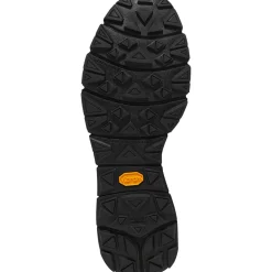 Danner Men's Mountain 600 4.5