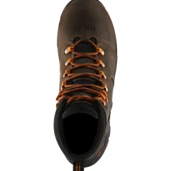 Danner Women's Vicious 4